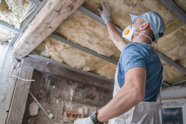 Best Insulation for Specific Applications in Queen City, TX