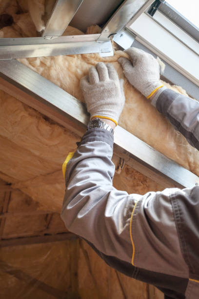 Best Insulation Installation Services in Queen City, TX